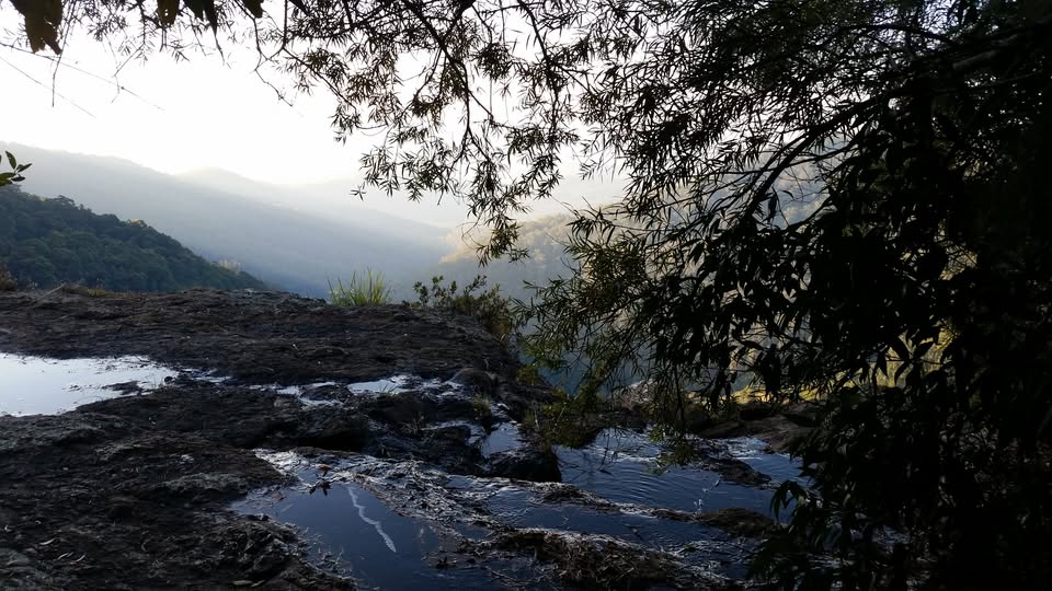 Third Sunday Service in February: Rewilding? Or the benefits of being less civilized?